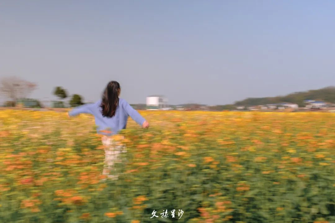 DƬ